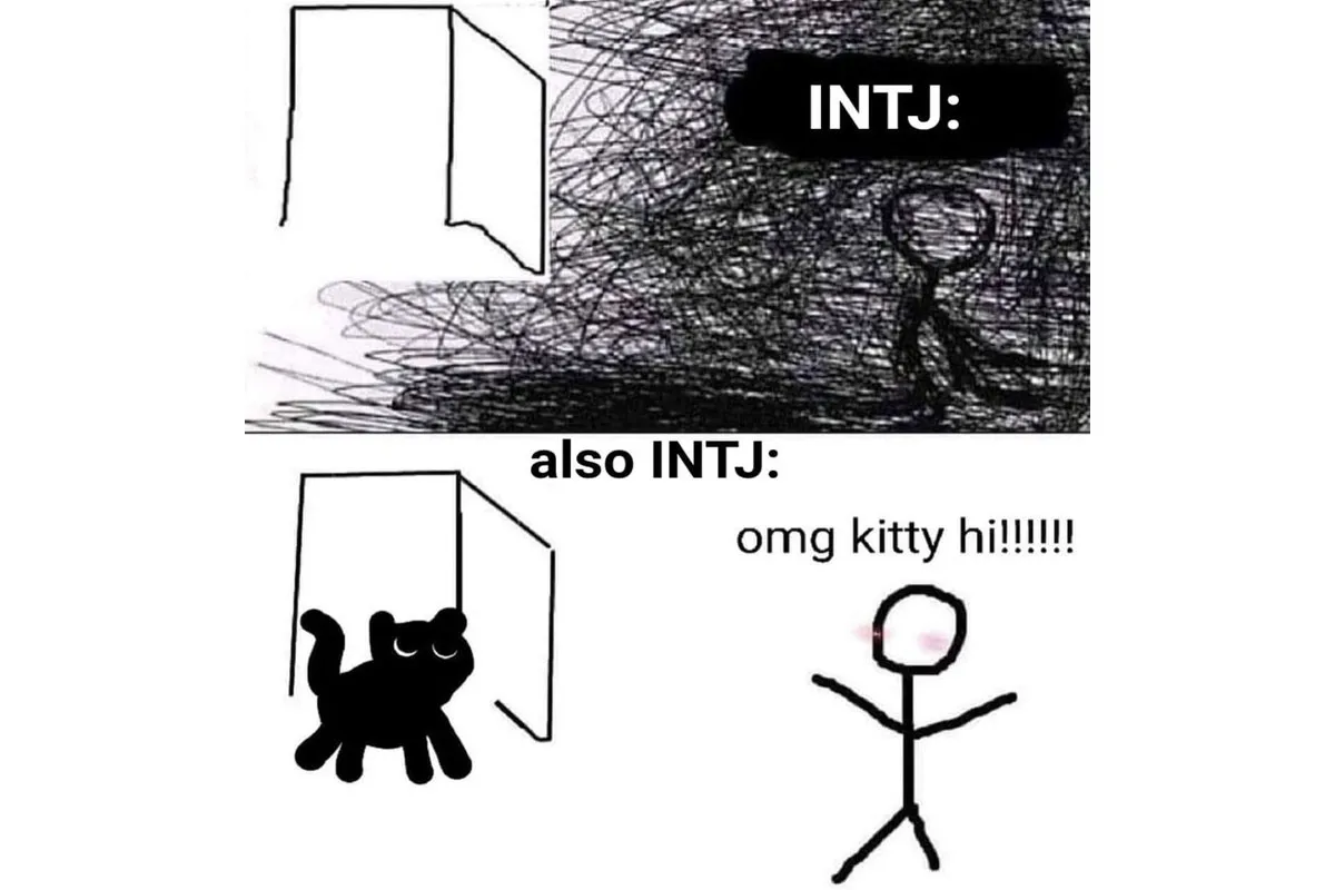 intj-밈-meme