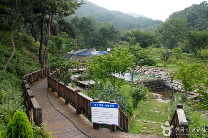 봉수산 자연휴양림 전경 이미지