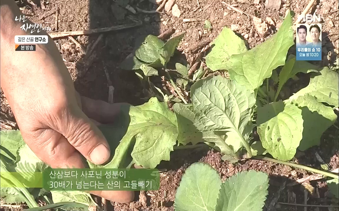 나는 자연인이다.E523.221013p.WANNA.mp4_20221013_201134.583.jpg