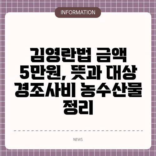 김영란법 금액 5만원, 뜻과 대상 경조사비 농수산물 정리