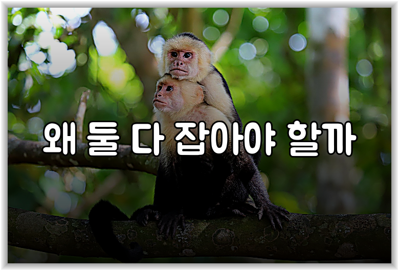 왜 둘 다 잡아야 할까