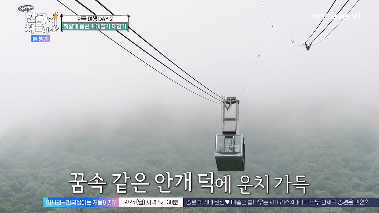 어서와 한국은 처음이지 시즌2.E281.230922p-NEXT.mp4_20230923_174652.422.jpg