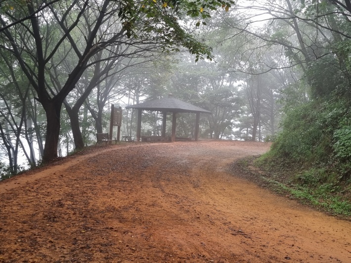정자