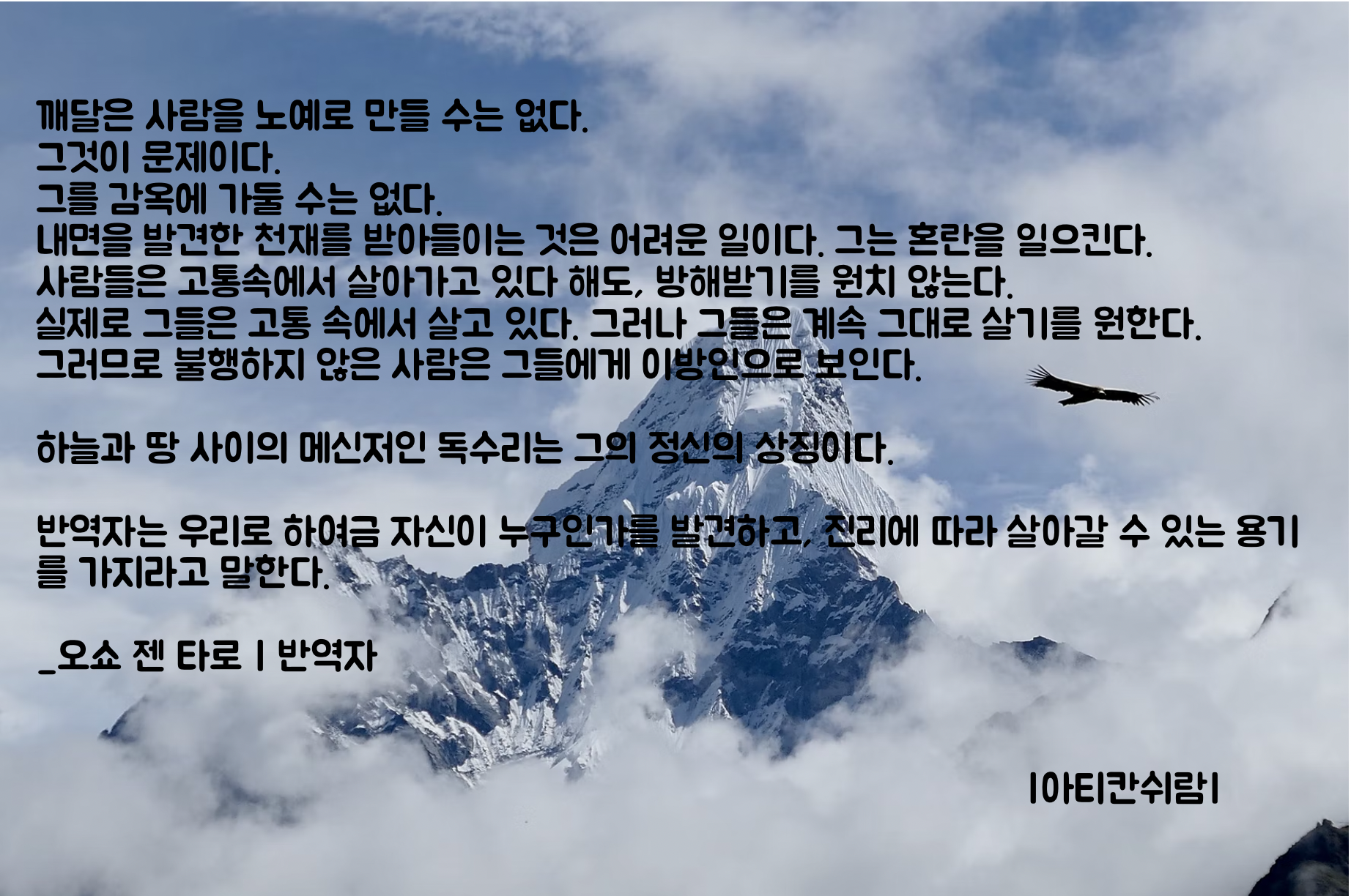몰츠 이미지