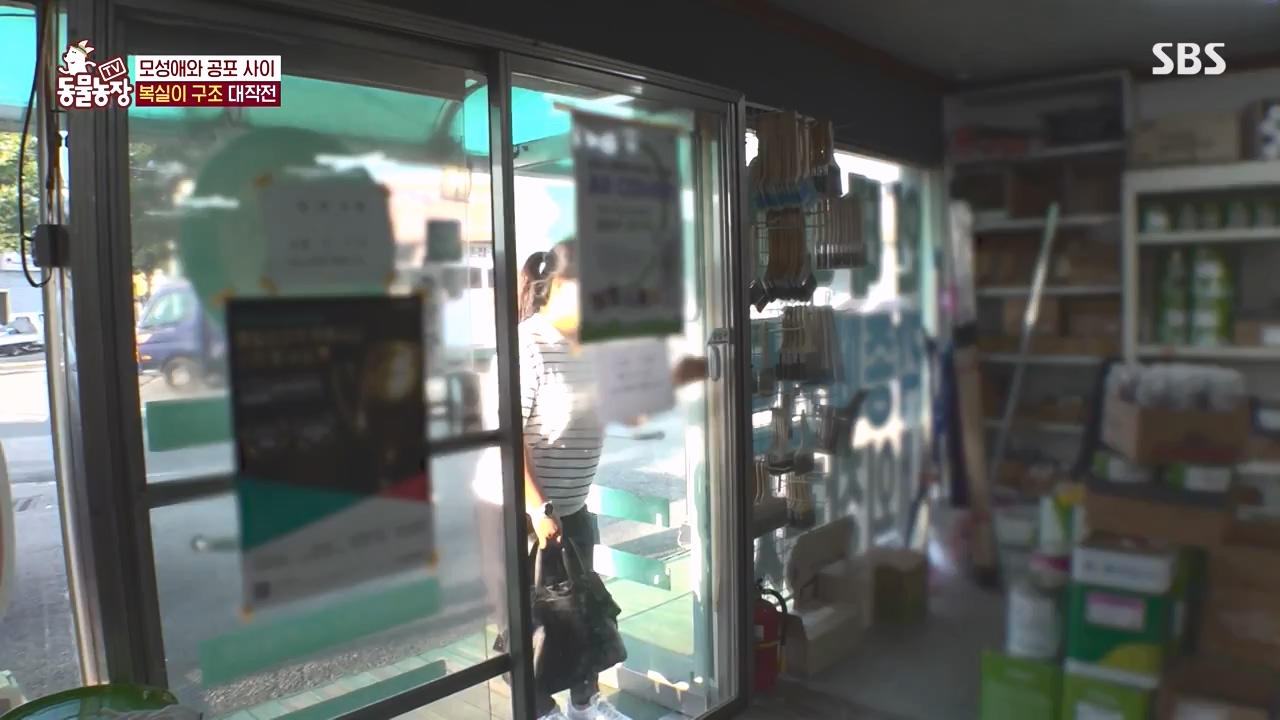 TV 동물농장.E1135.230828p-NEXT.mp4_20230827_180832.273.jpg