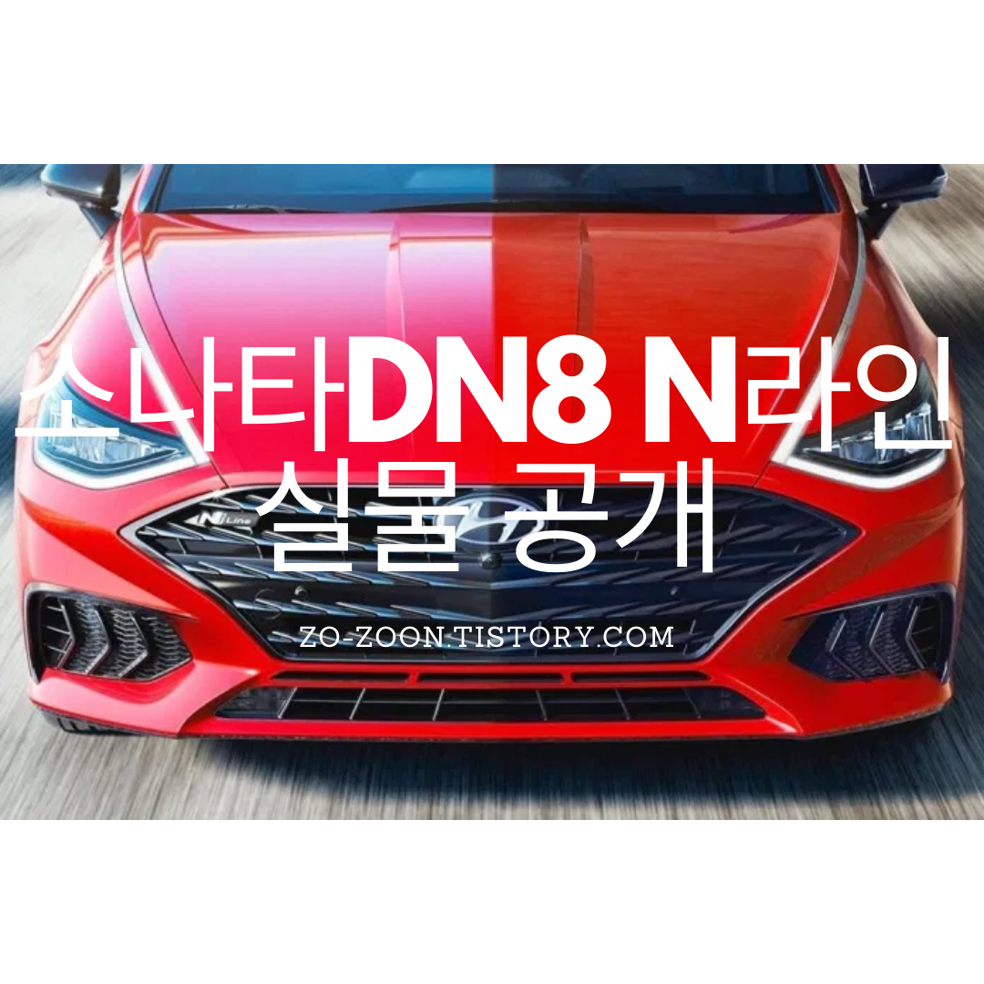  메기에서 진화할까? 쏘나타 DN8 N라인 실물 공개