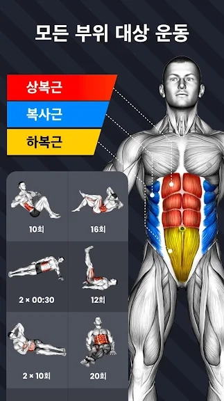 핸드폰 복근 만들기 어플 추천 식스팩 플랭크 운동 앱 :: 정보나라 핸드폰 복근 만들기 어플 추천 식스팩 플랭크 운동 앱 :: 정보나라