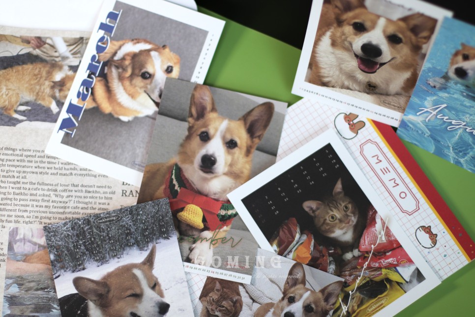 백호랑이 주문, 이웃집의 죽도록 사랑해!!!! 6