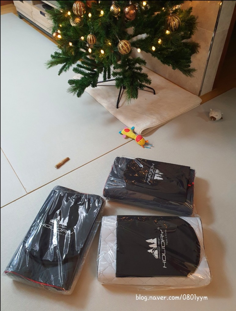 오빠베개 후기 [캠핑홀리데이]레드썬 11