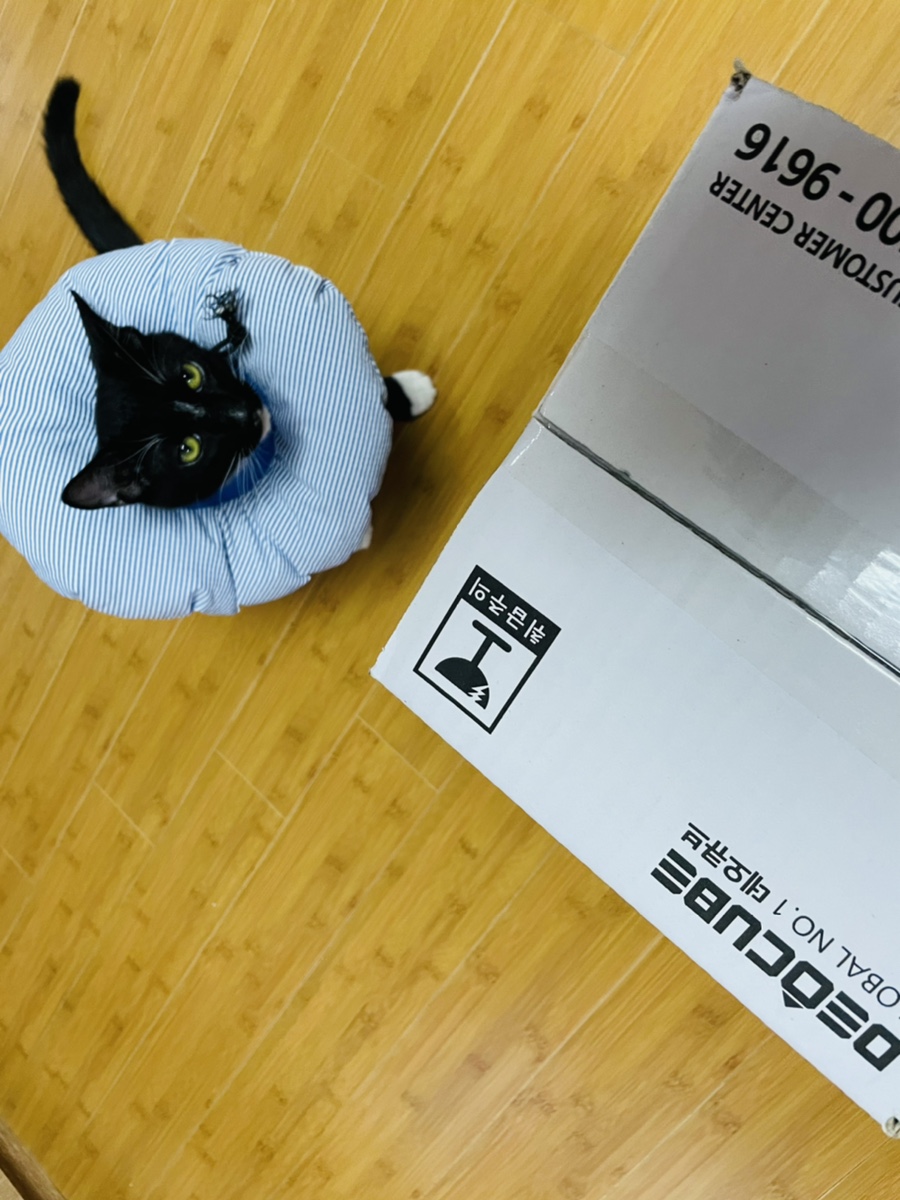 분변처리통 고양이배변냄새 없애고 처리해요! 리터락커 말고 데오큐브 고양이화장실 6