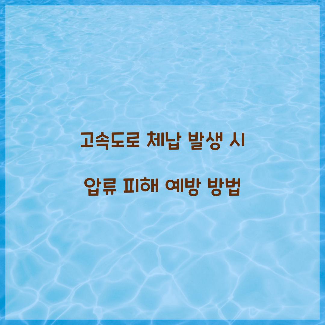 고속도로 체납
