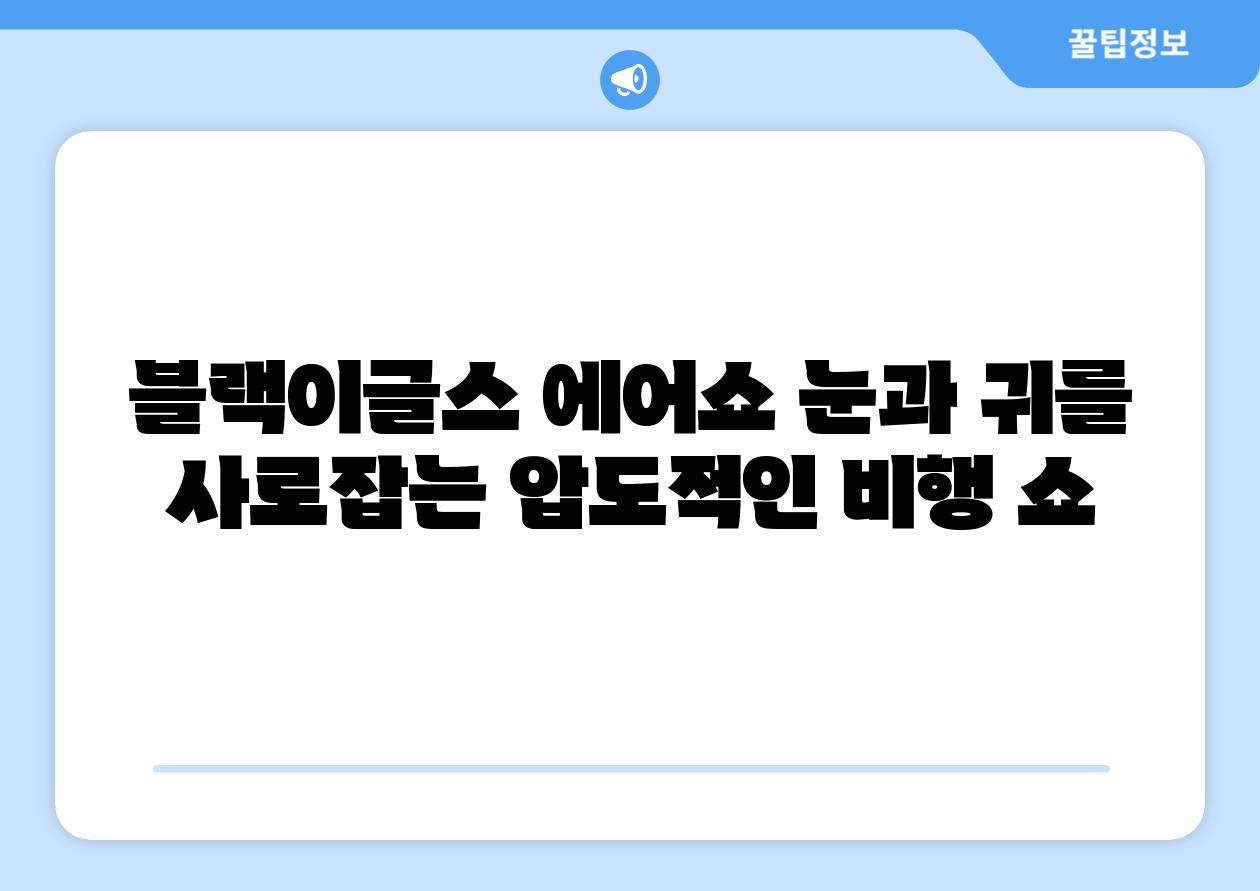 블랙이글스 에어쇼 눈과 귀를 사로잡는 압도적인 비행 쇼