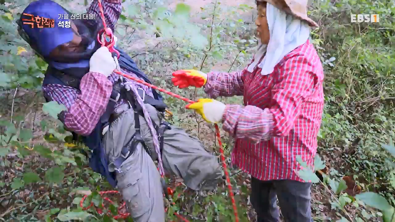 TV - 전 국민의 평생학교 EBS가을 산의 대물! 석청과 버섯.mp4_20230916_171651.625.jpg