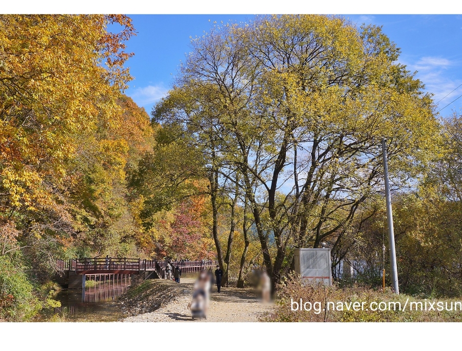 단풍구경 가볼만한 곳 괴산 가볼만한곳 15