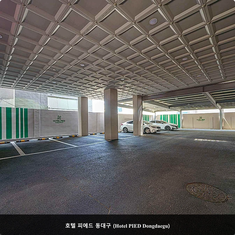 호텔 피에드 동대구 (Hotel PIED Dongdaegu)_3