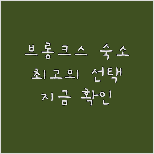 브롱크스 숙소 고민? 홀리데이 인, 