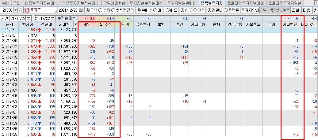 코이즈-개인-외국인