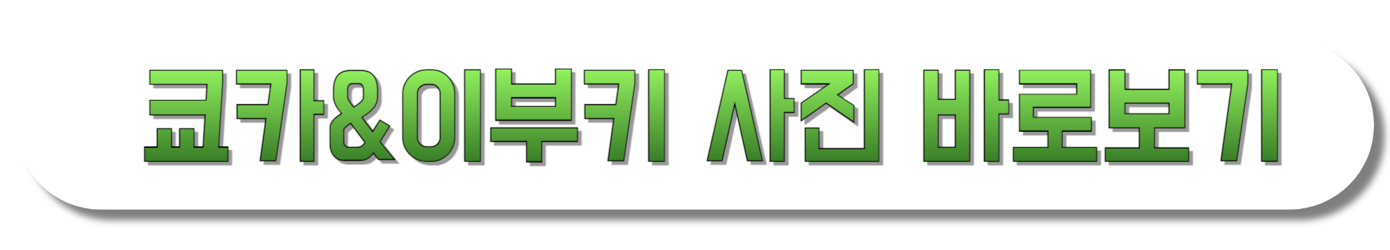 쿄카&amp;이부키-사진-바로보기