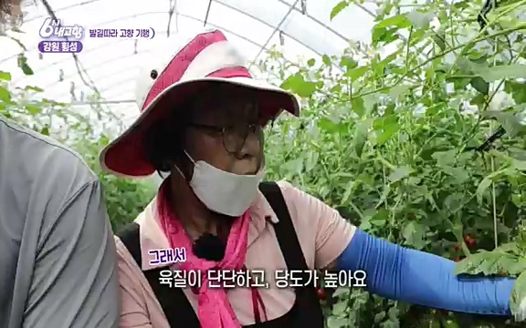220815_발길따라 고향 기행.ts_20220823_181528.296.jpg