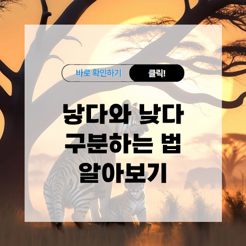 낳다와 낮다 구분하는 법 알아보기