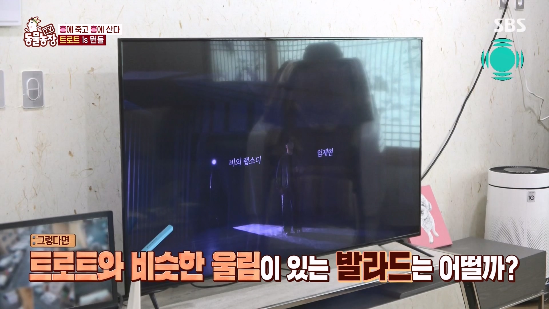 TV 동물농장.E1166.240407p-NEXT.mp4_20240407_164501.707.jpg
