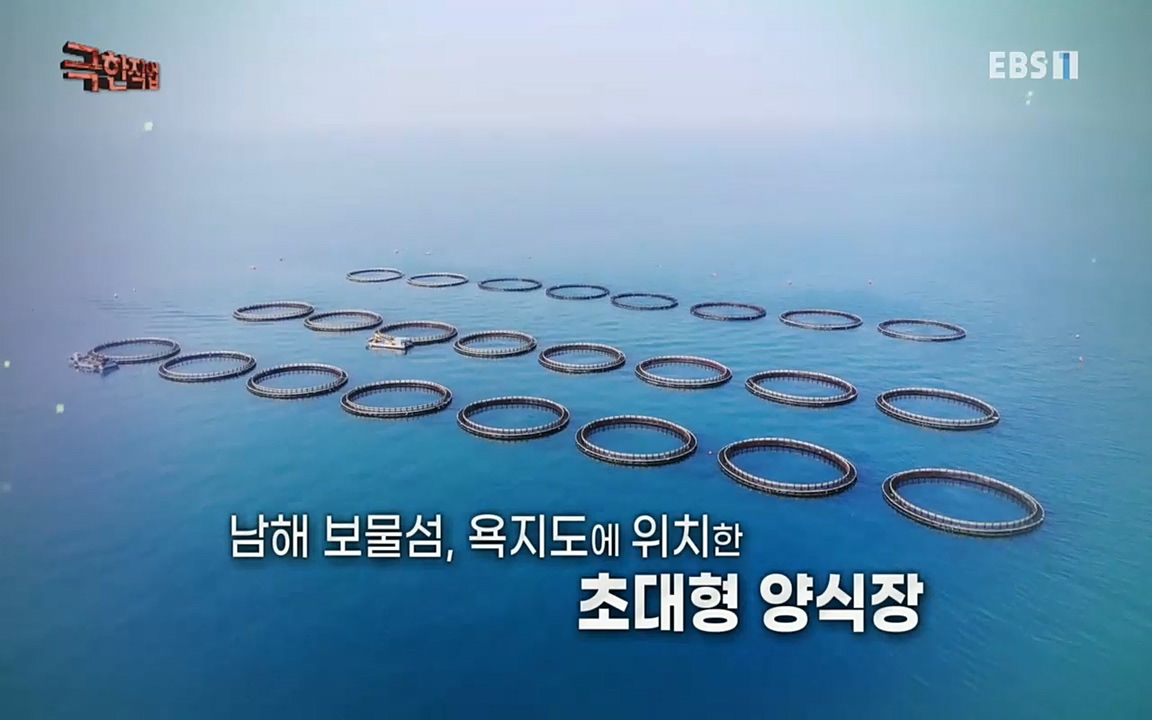 TV - 교육의 중심 EBS희귀 양식의 세계 - 참다랑어, 연어, 쏘가리.mp4_20220829_200219.478.jpg