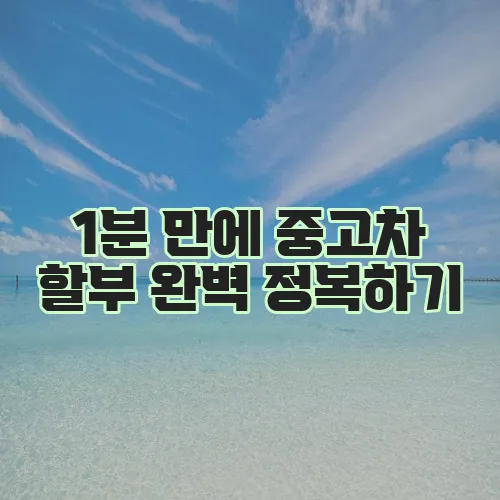 1분 만에 중고차 할부 완벽 정복하기