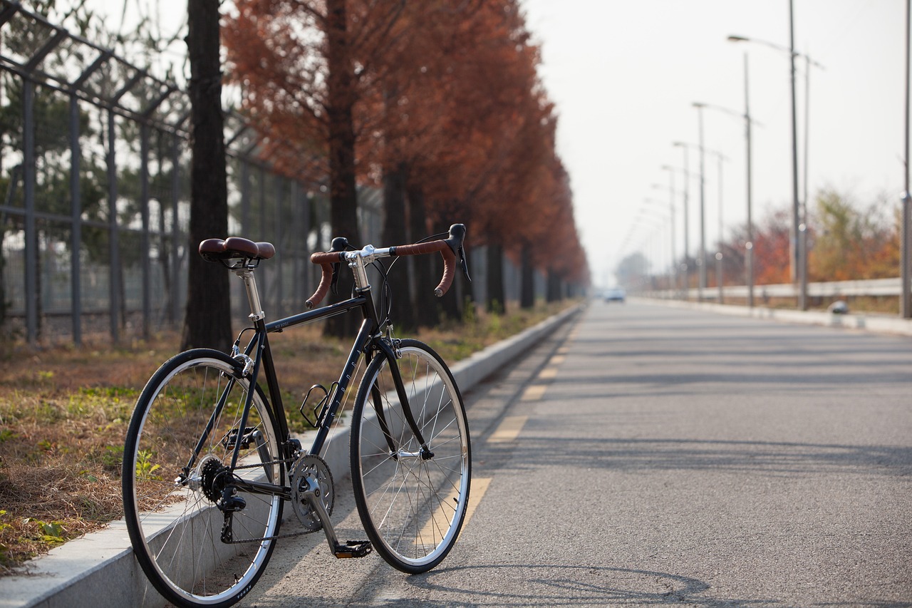 도로 위에 홀로 외로이 서있는 싸 이 클 자전거 한 대를 비추고 있는 모습입니다.
