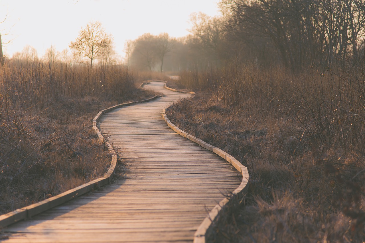 path image