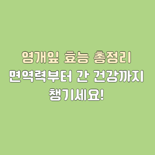 잎 이미지