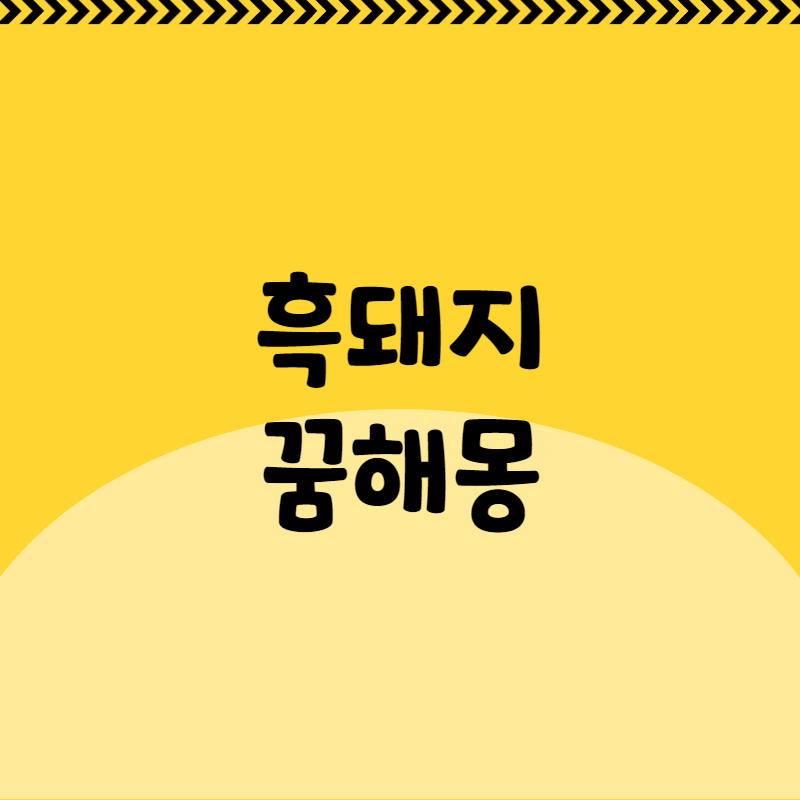 흑돼지 꿈해몽