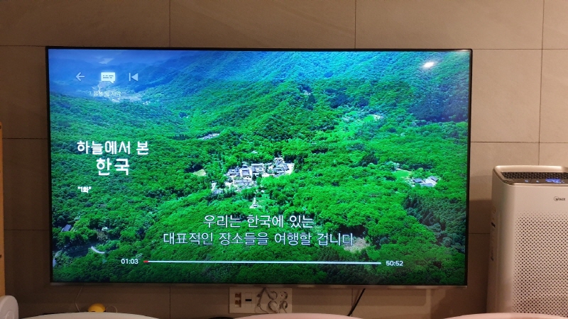 티비