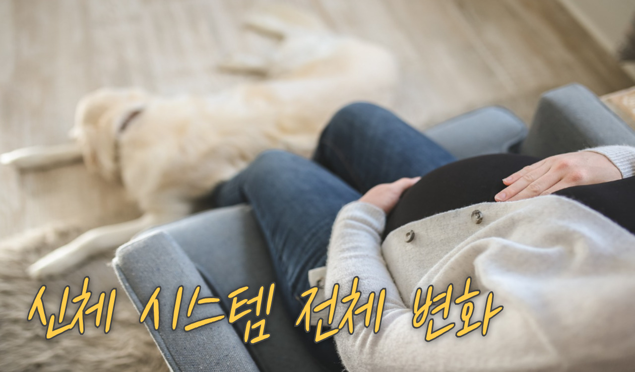 임신 호르몬