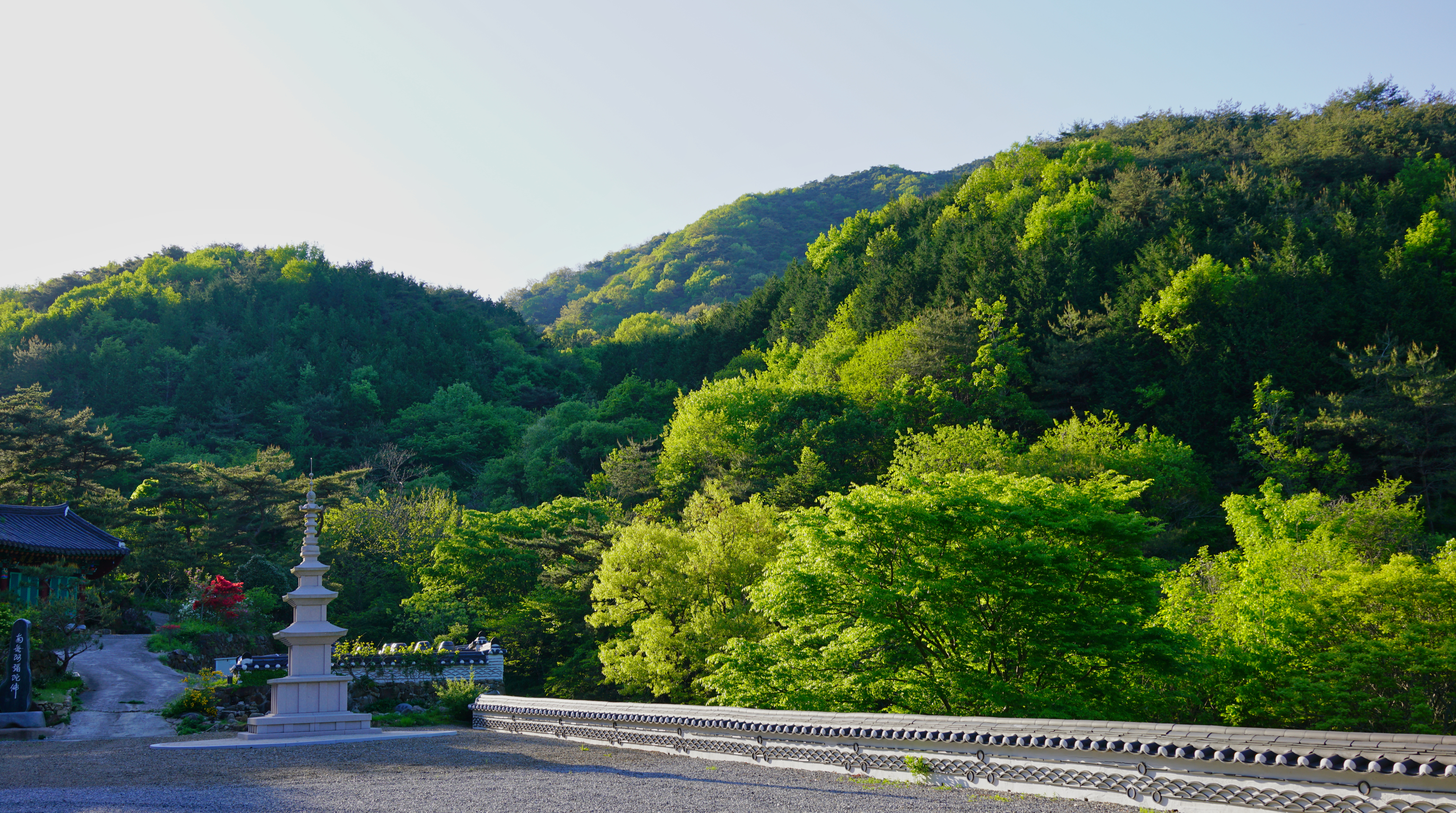 삼정사 이미지