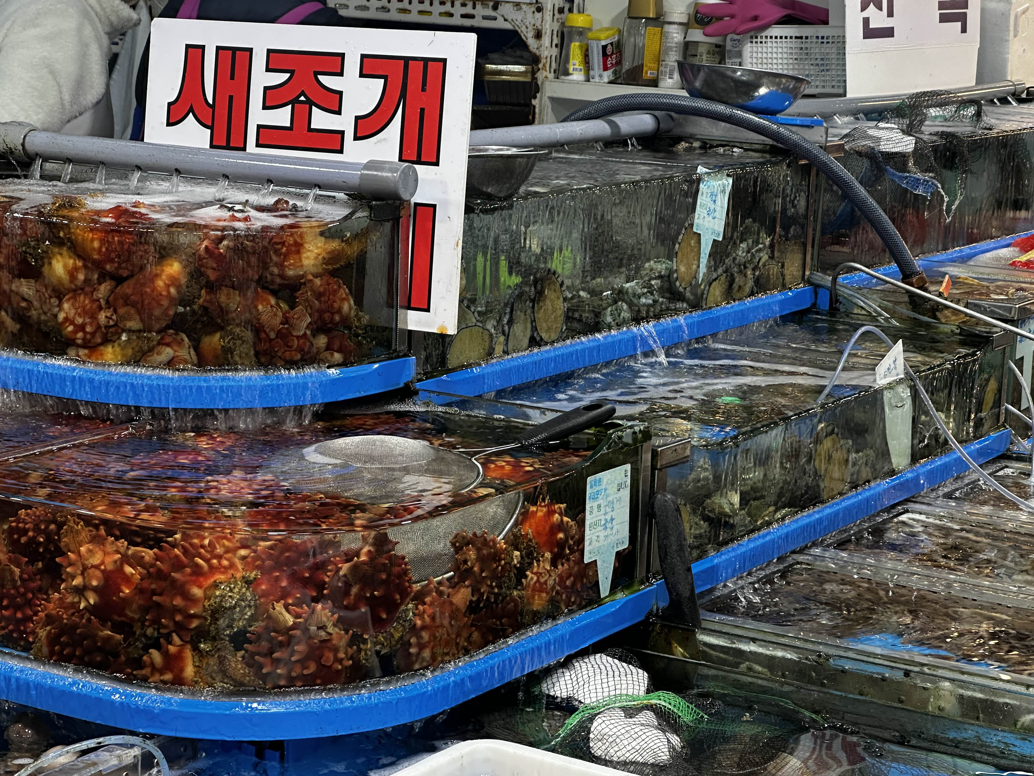103시장떡볶이 이미지