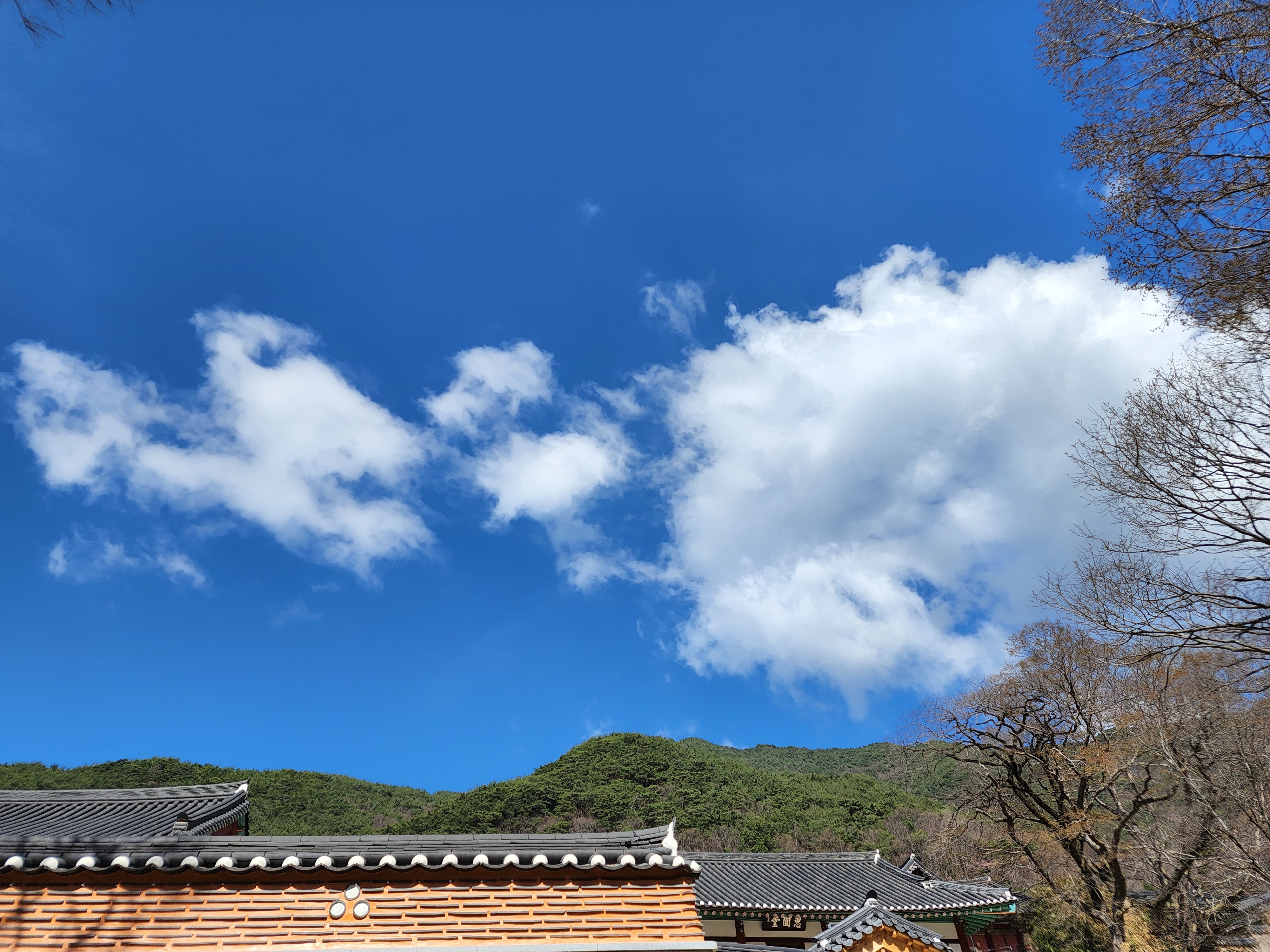  사찰여행 구례 화엄사 구름도 하늘도 이뻤던 날