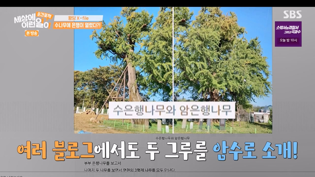 순간포착 세상에 이런일이.E1240.230806p-NEXT.mp4_20230806_161408.944.jpg