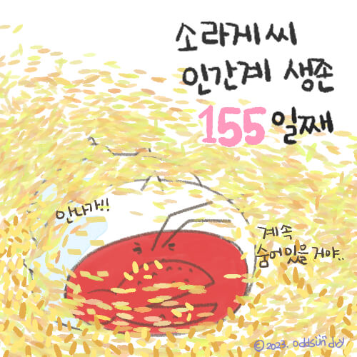  [반려동물] 소라게 집에 황토볼은 안된다!