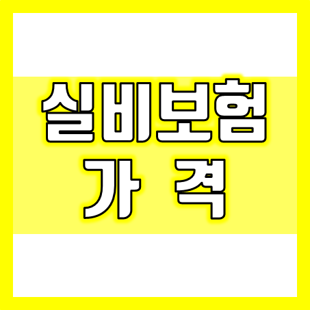  실비보험가격, 싼 게 비지떡일까? 비싸다고 다 좋을까?