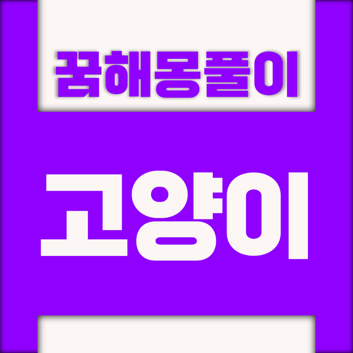  [꿈해몽풀이] 고양이 꿈해몽 모음