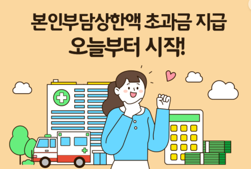 본인부담 상한액