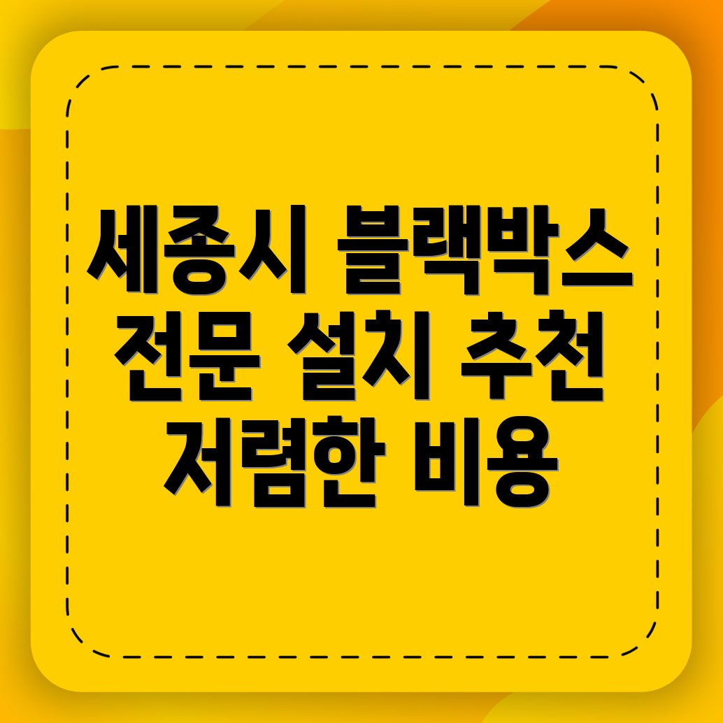 세종시 나성동 블랙박스