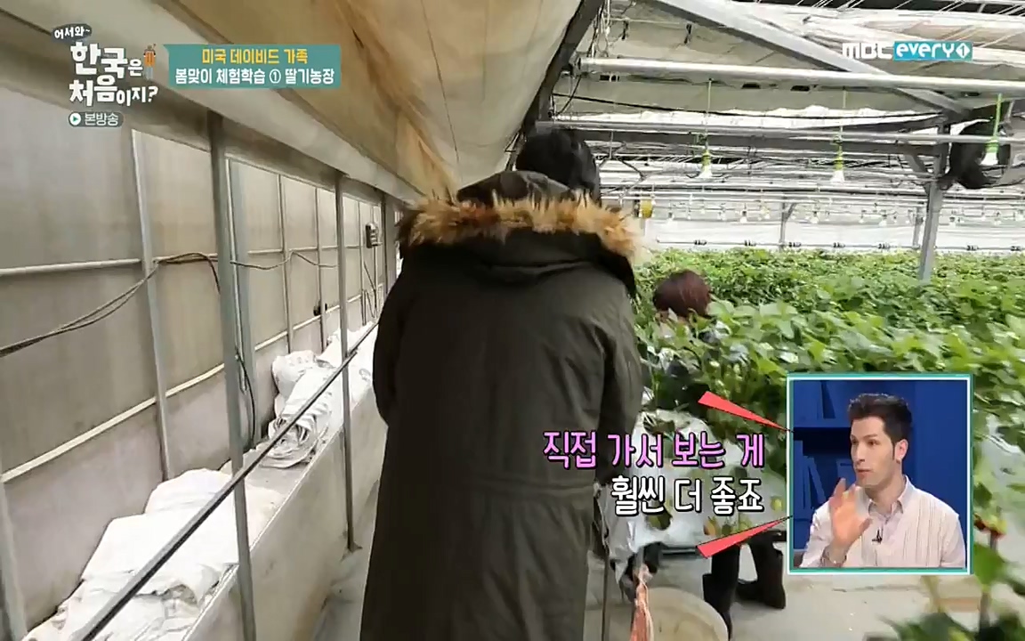 어서와 한국은 처음이지 시즌2.E206.220415p-NEXT.mp4_20220415_181244.434.jpg