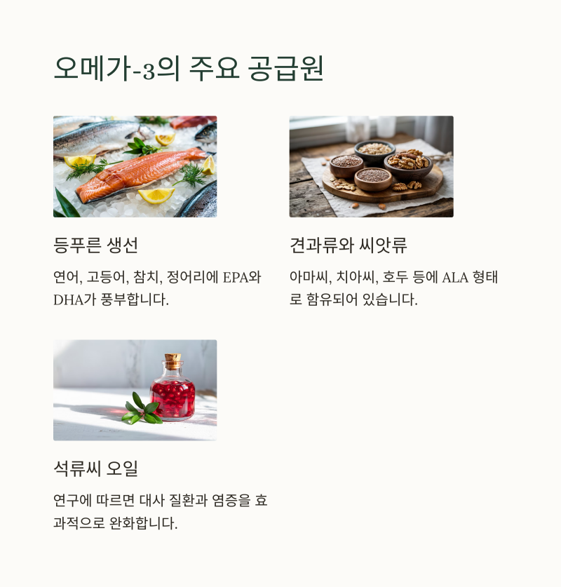 혈관건강 내용 정리 페이지