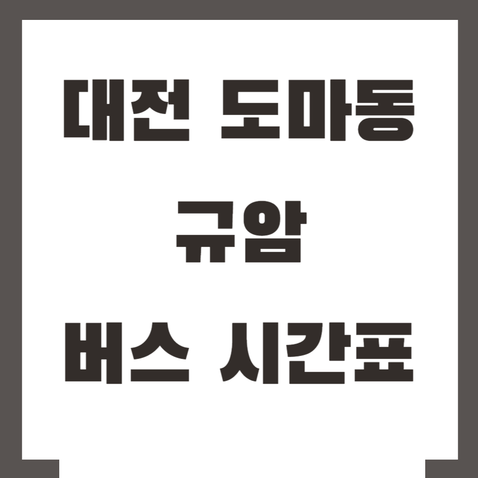 대전 도마동 규암 버스 시간표