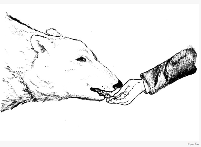  [영어] Don't Bite the hand that feed you를 아시나요?