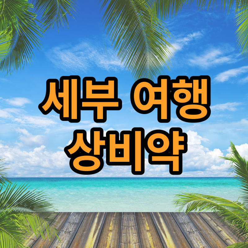 세부 여행 시 상비약