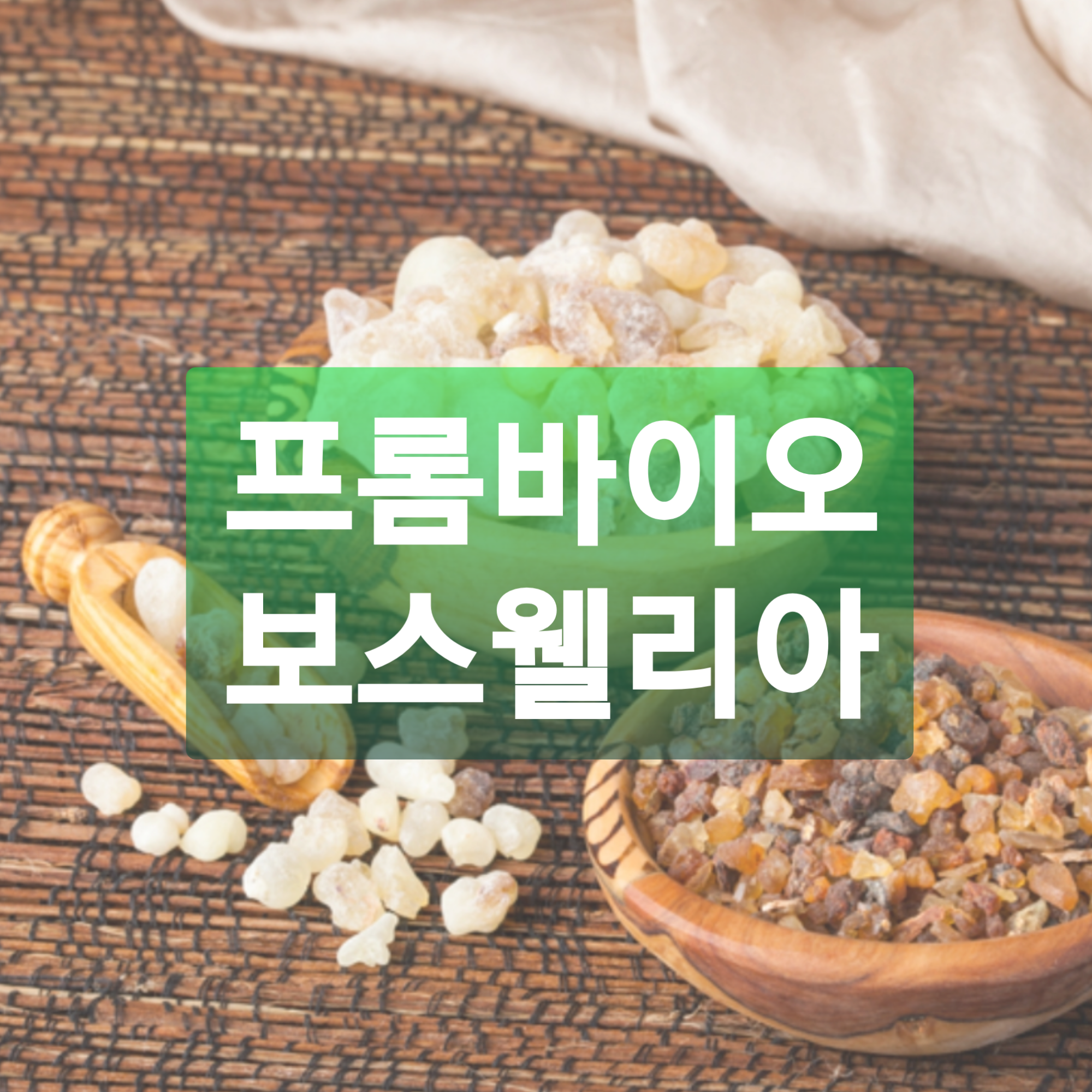  [의사] 프롬바이오 보스웰리아 효과, 효능, 부작용