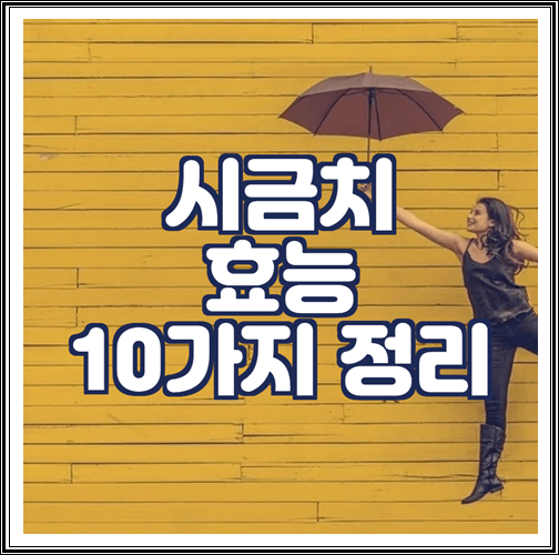  시금치 효능 10가지 정리