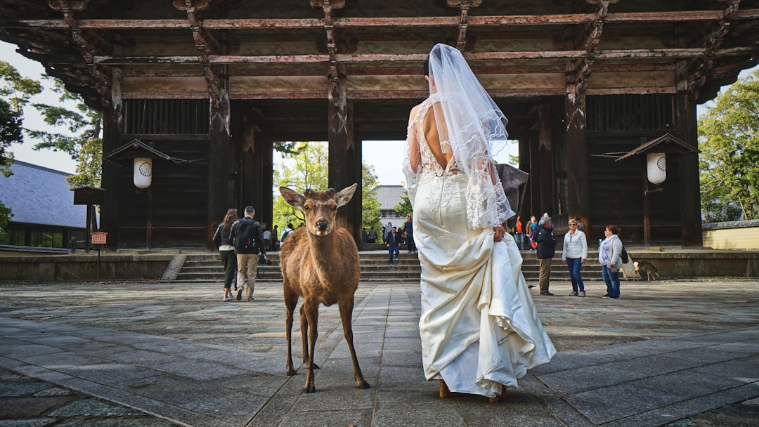 Todai-ji